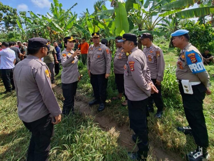 Warga Panik! Gajah Liar Masuk Desa, Pemkab dan Aparat TNI-Polri Bertindak Cepat Warga Panik! Gajah Liar Masuk Desa, Pemkab dan Aparat TNI-Polri Bertindak Cepat